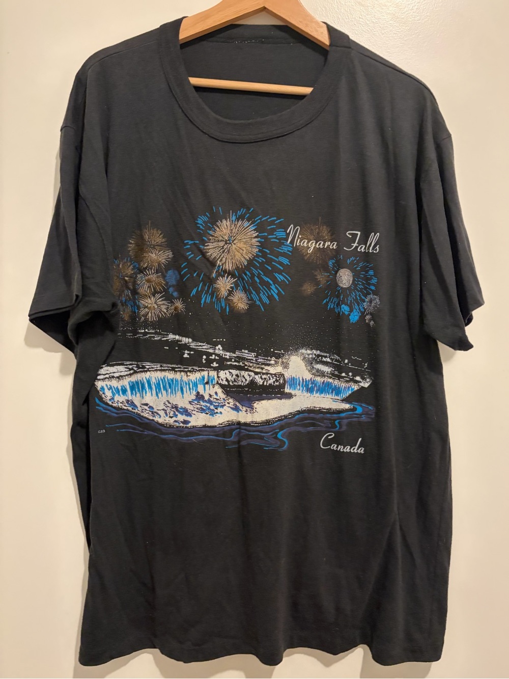 Vintage Niagara Falls Canada Graphic Tee - Black